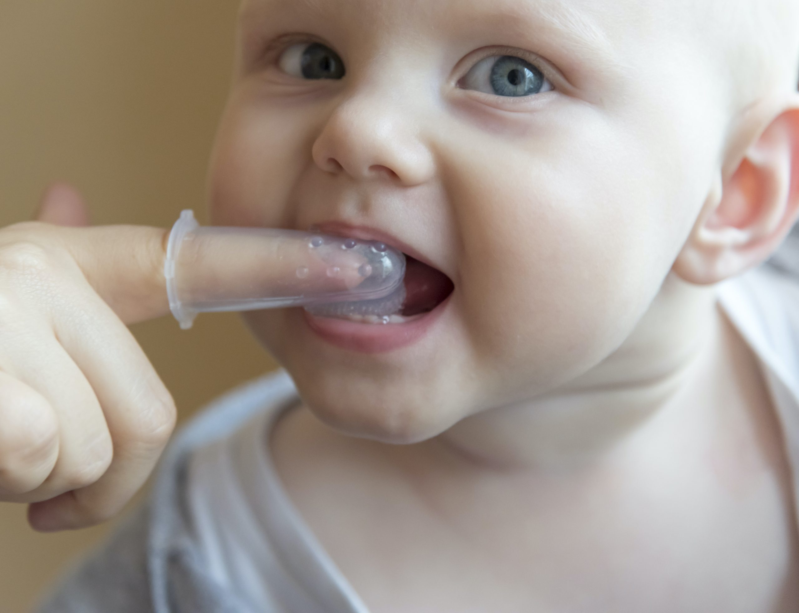 I denti del neonato: quando spuntano i primi dentini? 