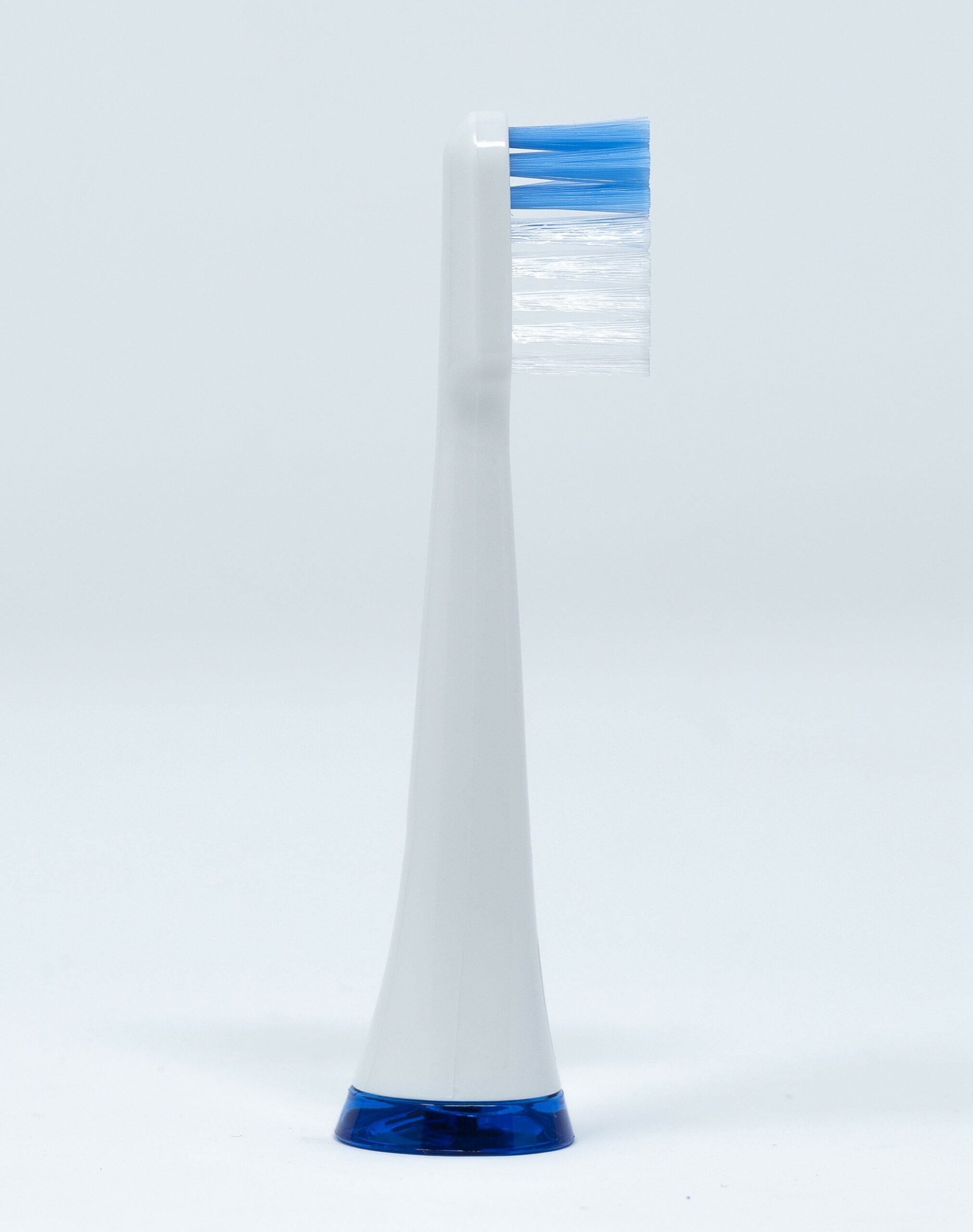Dentaid Testine di Ricambio Medium Vitis Sonic S10/S20 – 2 pz